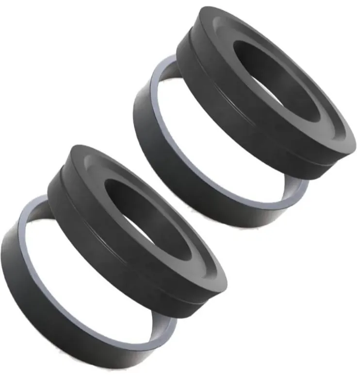 PISTON RAM DN250 PM